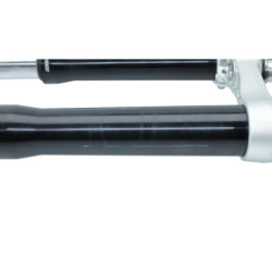 Fourche complète TRIUMPH TIGER 850 SPORT ABS 2021 à 2025