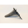 Support de plaque SUZUKI UH 125 BURGMAN 2002 à 2006