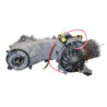 Moteur PIAGGIO VESPA 50 LX 2009 à 2013