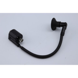 Bobine d'allumage YAMAHA SLIDER 50 2005 à 2016