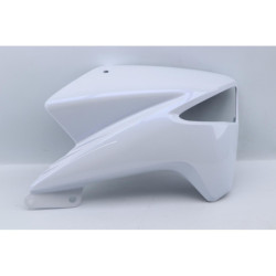 Ecope de radiateur droite SUZUKI GW 250 INAZUMA 2012 à 2015