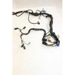 Faisceau électrique HONDA CBF 600 N ABS 2004 à 2007
