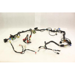 Faisceau électrique HONDA CBF 600 N ABS 2004 à 2007