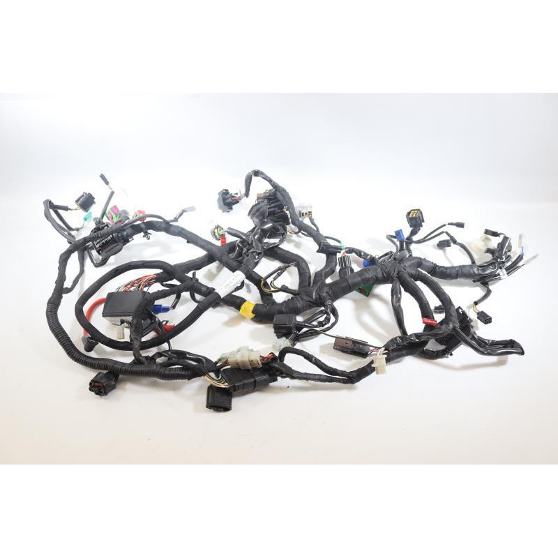 Faisceau électrique KTM RC 125 2014 à 2016