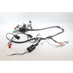 Faisceau électrique JM MOTORS MIA RS 50 2020 2021