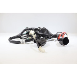 Faisceau électrique JM MOTORS MIA RS 50 2020 2021