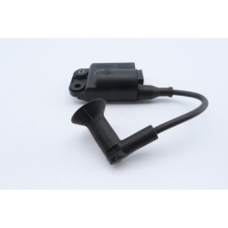 Boitier CDI PIAGGIO NRG POWER 50 2004 à 2017