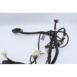 Faisceau électrique DAELIM S3 125 2011 à 2012