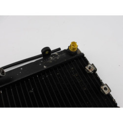 Radiateur d'eau YAMAHA MAJESTY 250 2000 à 2001