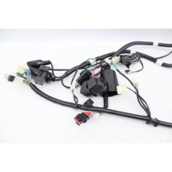 Faisceau électrique TNT MOTOR ROMA 50 2023 à 2024