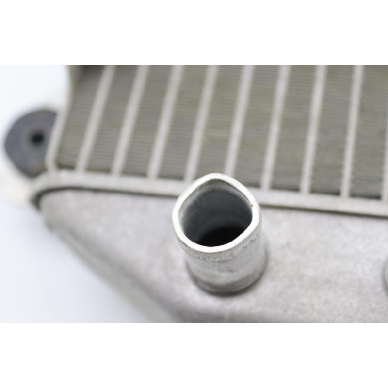 Radiateur d'eau HONDA NSS 250 FORZA ABS 2005 à 2006