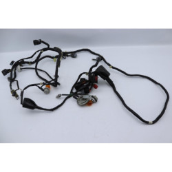 Faisceau électrique HONDA SH 125 2009 à 2012