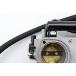Rampe d'injection TRIUMPH STREET TRIPLE 765 RS ABS 2023 à 2024