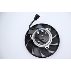 Ventilateur TRIUMPH STREET TRIPLE 765 RS ABS 2023 à 2024