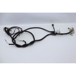 Faisceau électrique EASY WATTS E RETRO 125 MAX ELECTRIQUE 2021 à 2024