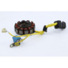 Stator PIAGGIO VESPA LXV 125 2006 à 2009