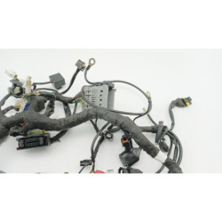 Faisceau électrique HUSQVARNA VITPILEN 401 2020 à 2024