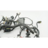 Faisceau électrique HUSQVARNA VITPILEN 401 2020 à 2024