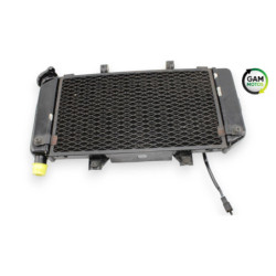Radiateur d'eau YAMAHA TDM 900 ABS 2002 à 2014