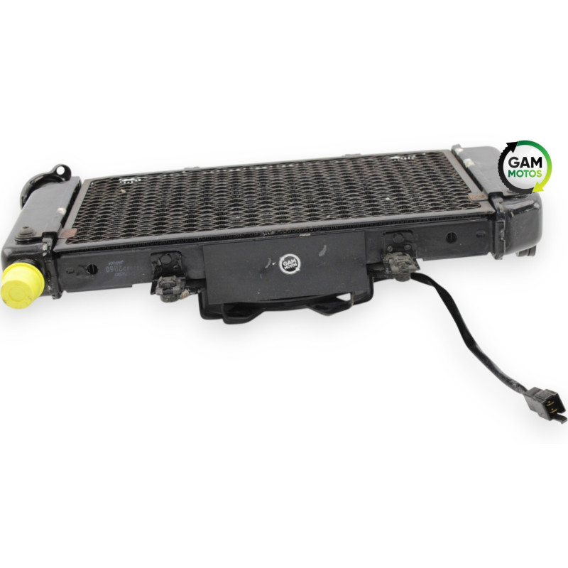 Radiateur d'eau YAMAHA TDM 900 ABS 2002 à 2014