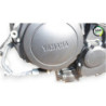 Moteur YAMAHA TDM 900 ABS 2002 à 2014