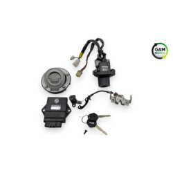 Kit neiman complet codé YAMAHA MT03 660 2006 à 2014