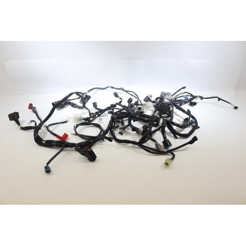 Faisceau électrique KAWASAKI Z 900 2020 à 2021