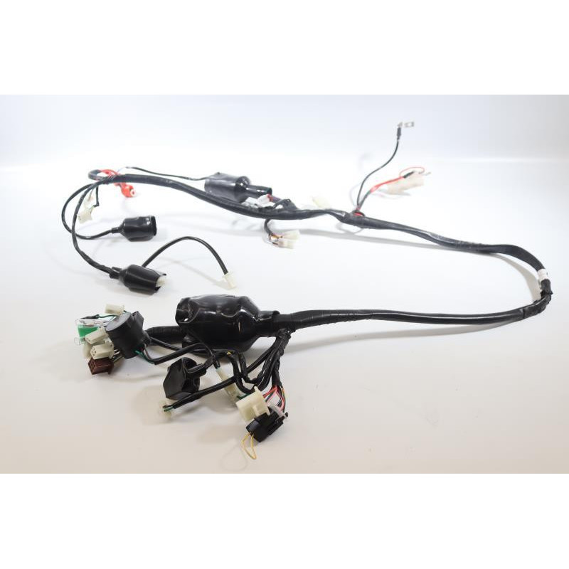 Faisceau électrique JM MOTORS MIA RS 50 2020 2021
