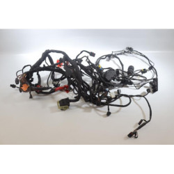 Faisceau électrique BMW C 600 SPORT 2012 à 2015