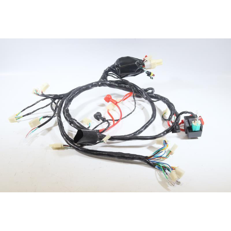 Faisceau électrique JM MOTORS EVOLIS 50 2020 à 2021