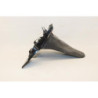 Support de plaque SUZUKI UH 125 BURGMAN 2002 à 2006