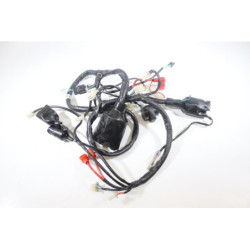 Faisceau électrique JM MOTORS MIA RS 50 2020 2021