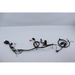Faisceau électrique ORCAL ARIOS 50 10 2021 à 2024