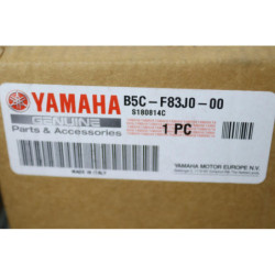 Bulle YAMAHA MT09 TRACER 2018 à 2020