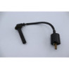 Bobine d'allumage YAMAHA YZF 450 2005 à 2005
