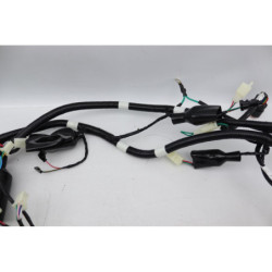 Faisceau électrique TNT MOTOR ROMA 50 2023 à 2024