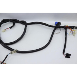 Faisceau électrique EASY WATTS E RETRO 125 MAX ELECTRIQUE 2021 à 2024