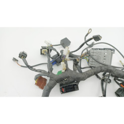 Faisceau électrique HUSQVARNA VITPILEN 401 2020 à 2024