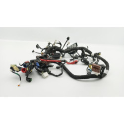 Faisceau électrique HUSQVARNA VITPILEN 401 2020 à 2024