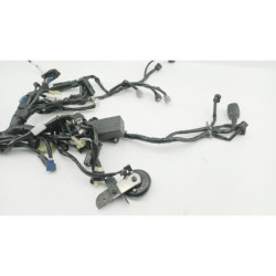 Faisceau électrique YAMAHA TRACER 7 700 2020 à 2024