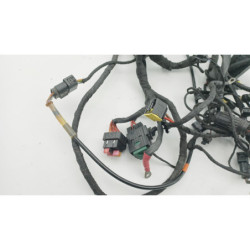 Faisceau électrique BMW C EVOLUTION 2013 à 2020