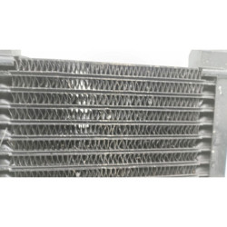 Radiateur d'huile MOTO GUZZI V11 1100 LE MANS 2003 à 2004