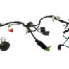 Faisceau électrique MASAI BLACK CAFE 125 2017 à 2026