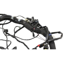 Faisceau électrique TRIUMPH TRIDENT 660 2021 à 2025