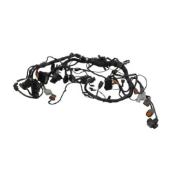 Faisceau électrique TRIUMPH TRIDENT 660 2021 à 2025