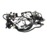 Faisceau électrique TRIUMPH TRIDENT 660 2021 à 2025