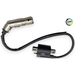 Bobine d'allumage ZNEN ZN 125 T 2006 à 2016