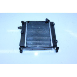Radiateur d'eau KYMCO DINKSTREET 300 ABS 2013 à 2014
