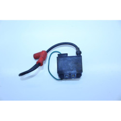 Boitier CDI RIEJU MRX 50 2001 à 2008