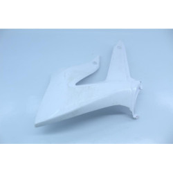 Ecope de radiateur droite GILERA SMT 50 2012 à 2015